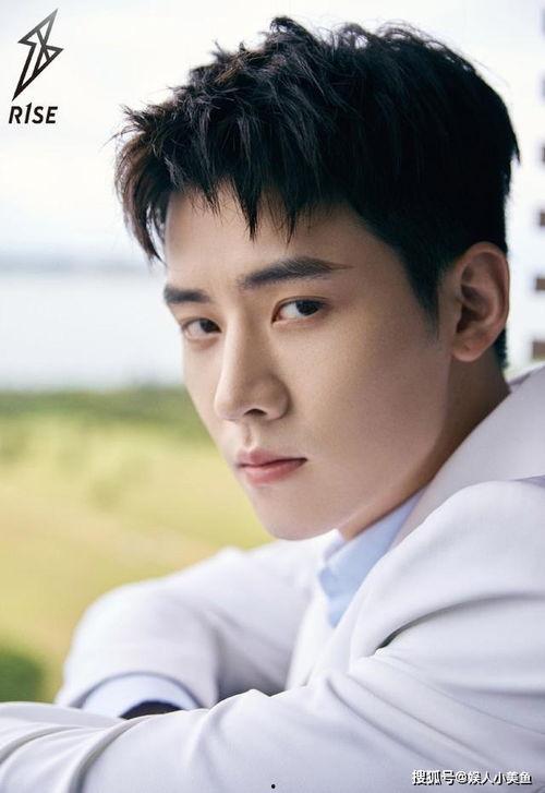 任豪爆料全集视频,揭秘娱乐圈不为人知的幕后真相