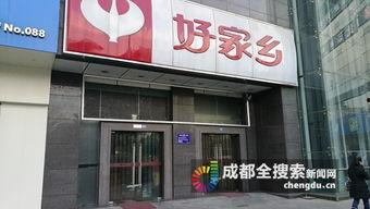 四川成都爆料新闻,揭秘城市热点事件背后的真相