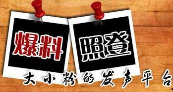 重庆新闻爆料台,聚焦城市热点，解码民生故事