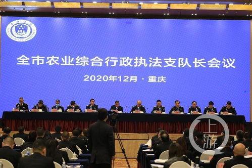 重庆新闻爆料台,聚焦城市热点，解码民生故事  第2张