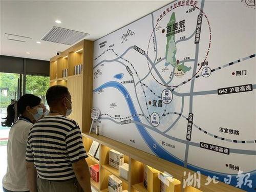 免费吃瓜纸巾十元一张,免费吃瓜纸巾，夏日清凉好物大揭秘！  第2张