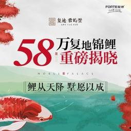 今日头条重庆爆料,真相令人震惊！