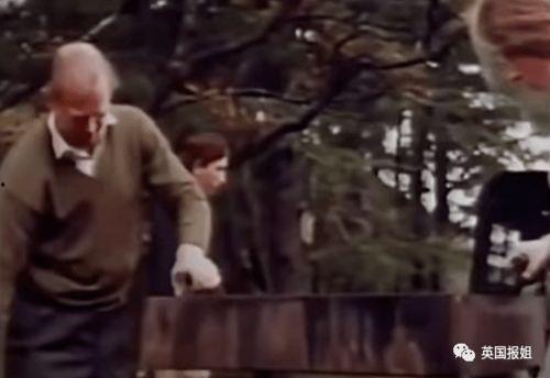 泄欲实录在线观看,在线观看背后的真相与反思  第3张