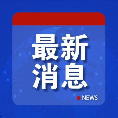 爆料新闻后果怎么样,事件后续影响深度解析  第2张