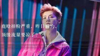 娱乐吃瓜直播讲故事视频,揭秘娱乐吃瓜背后的故事  第2张