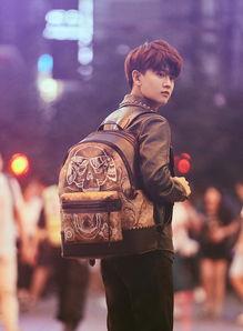 任嘉伦爆料最新的电影