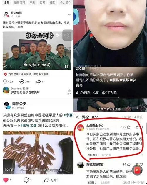 网友爆料李赛高视频,网友爆料背后的真相揭秘