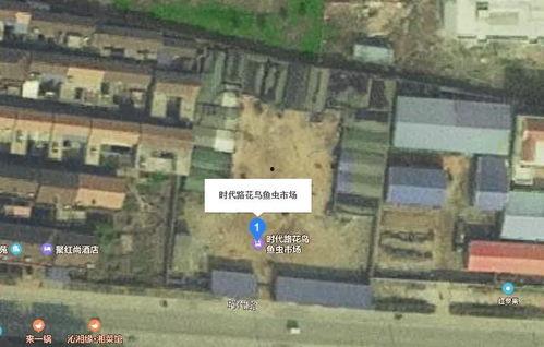 赣榆大鬼最新爆料,揭秘事件背后惊人真相！  第2张