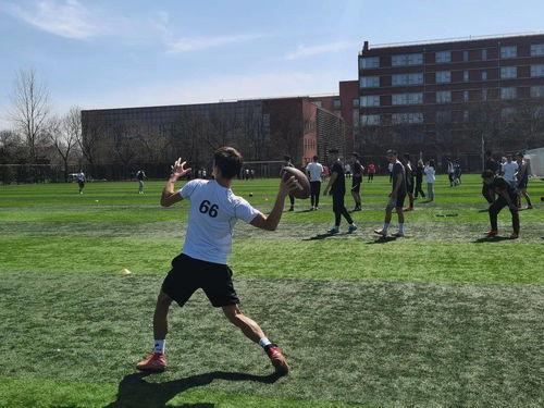 橄榄球协会爆料视频下载,揭秘橄榄球赛事幕后精彩瞬间  第3张