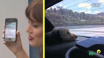 裸特在线观看,揭秘网络裸聊直播的隐秘世界  第2张