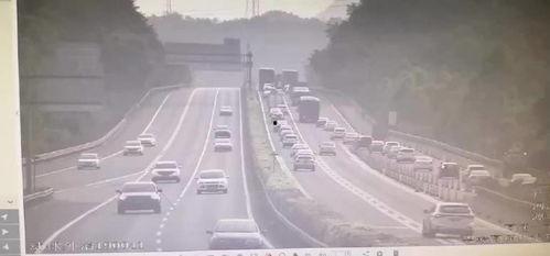 河源爆料新闻最新,揭秘神秘事件背后的真相