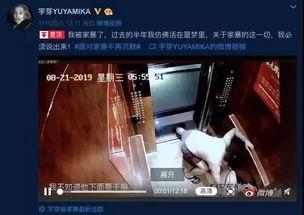 家暴视频爆料者怎么做,勇敢揭露黑暗背后的真相