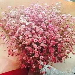 扒叔爆料满天星视频下载