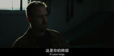 b片在线观看,b片在线观影之旅 第2张 b片在线观看,b片在线观影之旅 第2张