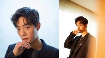 知乎杨紫和肖战最新爆料,揭秘幕后故事与情感纠葛