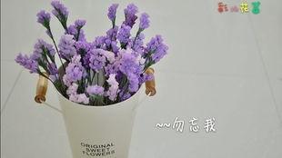 勿忘我在线观看视频,穿越时光的深情守候 第3张 勿忘我在线观看视频,穿越时光的深情守候 第3张